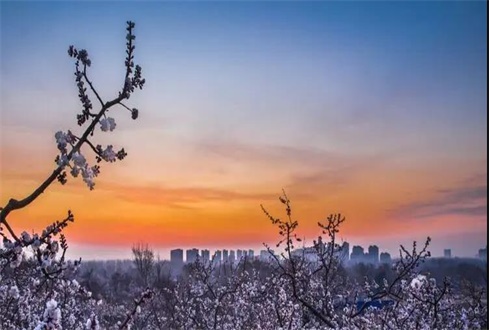 關(guān)于中央、省、市出臺的促進(jìn)企業(yè)復(fù)工復(fù)產(chǎn) 政策及主要內(nèi)容解讀
